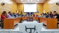 Pleno del Cabildo, en una imagen de archivo.