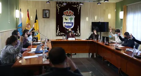 pleno la oliva 28 enero