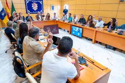 Votaci&oacute;n sobre el asunto de Dreamland en el pleno del Cabildo de Fuerteventura.