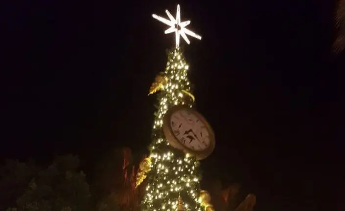&Aacute;rbol de Navidad.