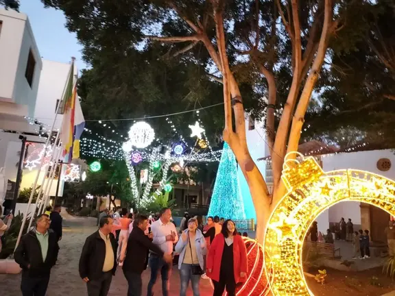 Alumbrado navide&ntilde;o en P&aacute;jara.