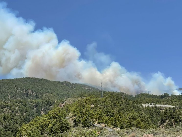200521 Incendio forestal Arico