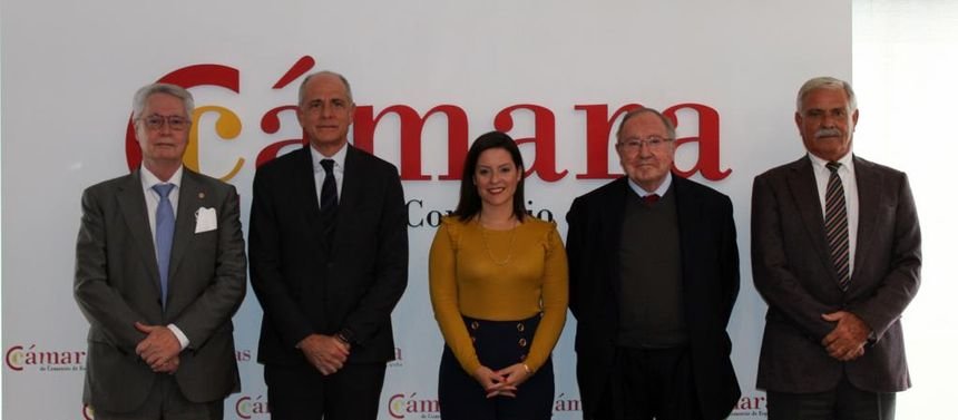 Reunión de Yaiza Castilla con los representantes de las cámaras de comercio.
