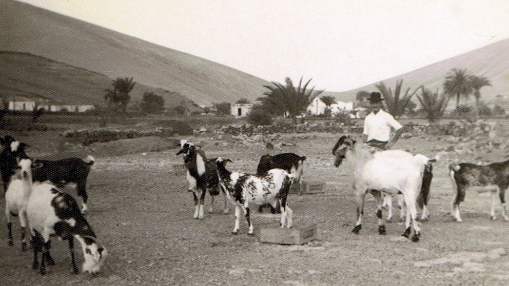 Antigua ganadería en Fuerteventura, en una imagen de de archivo del Gobierno de Canarias.