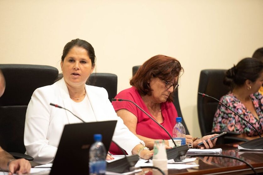 Pleno en el Ayuntamiento de Tuineje.