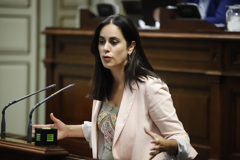 Vidina Espino, portavoz del Grupo Mixto en el Parlamento de Canarias.