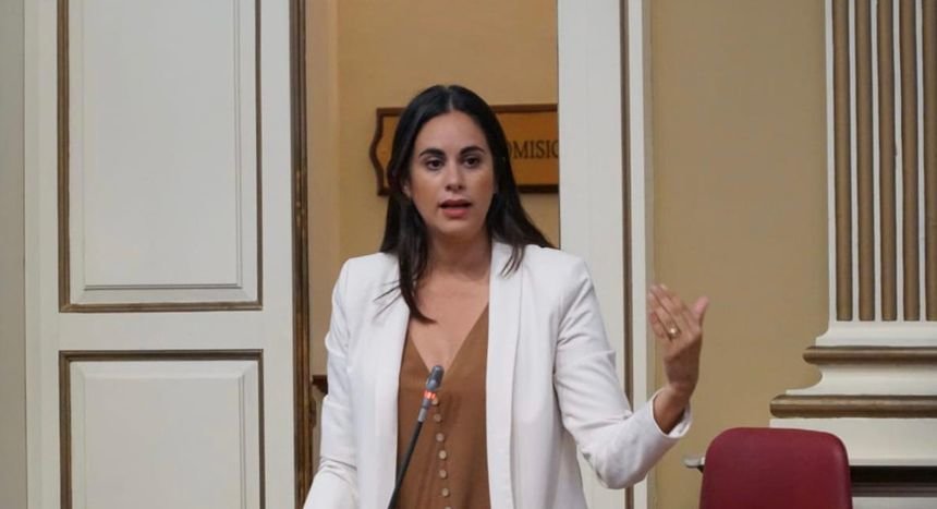 Vidina Espino, portavoz del Grupo Mixto en el Parlamento de Canarias.