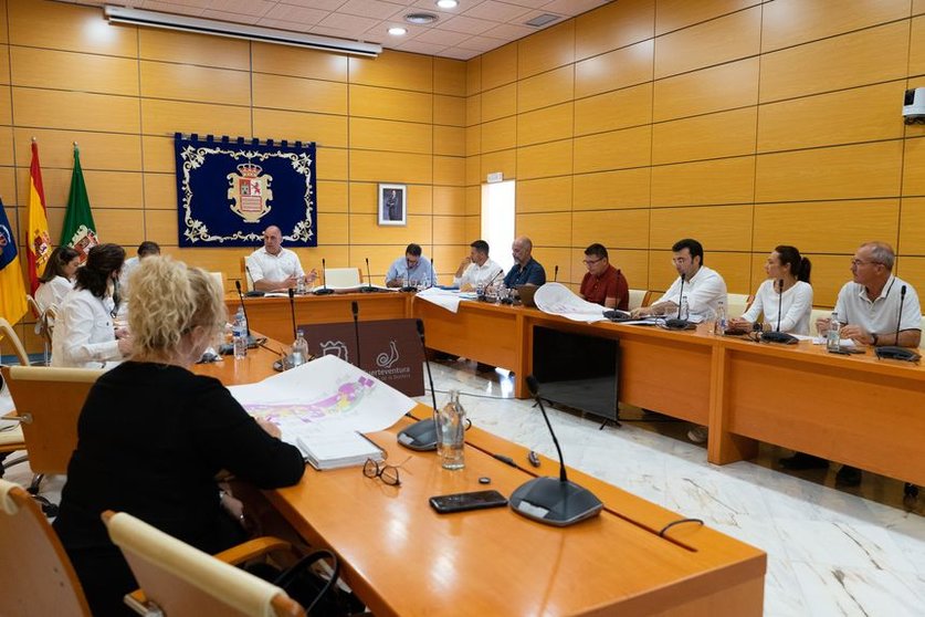 Comisión Técnica del Plan Insular de Cooperación en Actuaciones de Garantía del Abastecimiento Domiciliario de Agua (PICABAS).