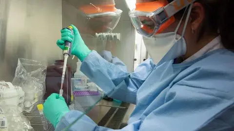 pcr