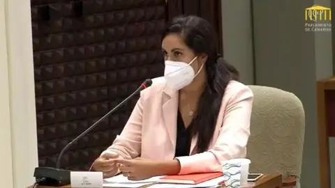 Vidina Espino, portavoz del Grupo Mixto.