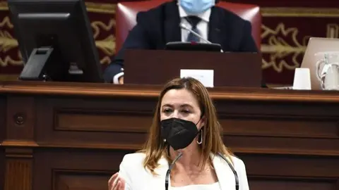 Mar&iacute;a Dolores Corujo durante su intervenci&oacute;n este mi&eacute;rcoles en el Parlamento auton&oacute;mico.