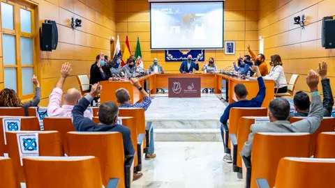 Pleno del Cabildo de Fuerteventura.