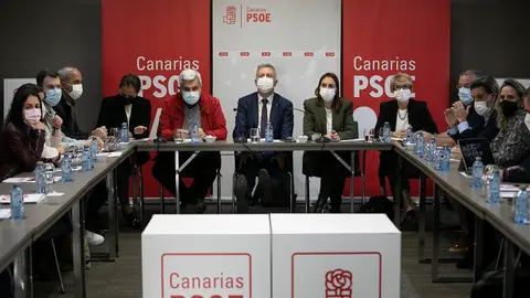 Imagen de la nueva Comisi&oacute;n Ejecutiva del PSOE en Canarias.