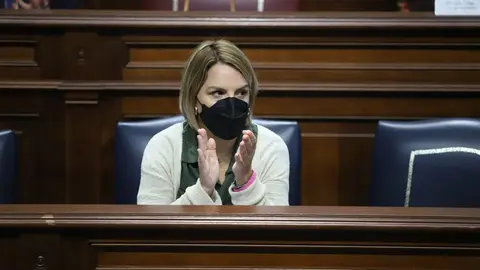 La consejera Noem&iacute; Santana este mi&eacute;rcoles en el Parlamento.