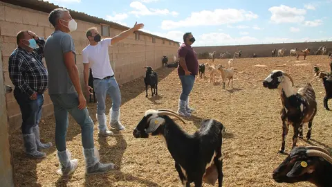 Visita del Ayuntamiento de Antigua a la nueva granja de Triquivijate. 
