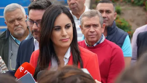 Vidina Espino, portavoz del Grupo Mixto.