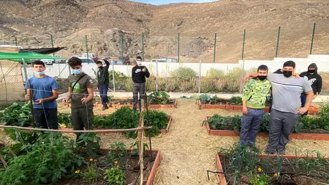 Alumnos del IES Gran Tarajal cultivan su propio huerto (2)