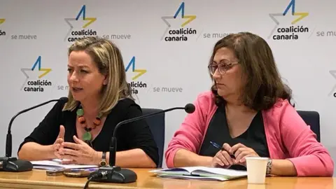 Ana Oramas,  portavoz de Coalici&oacute;n Canaria-PNC en el Congreso de los Diputados.
