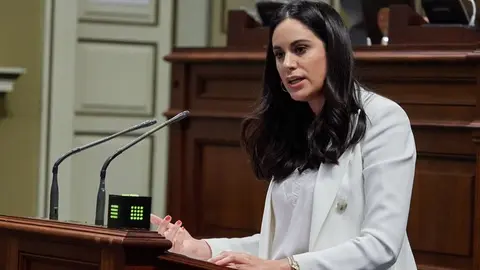Vidina Espino, portavoz del Grupo Mixto en el Parlamento.