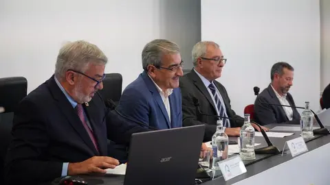 Rom&aacute;n Rodr&iacute;guez, vicepresidente del Gobierno de Canarias, en una rueda de prensa.