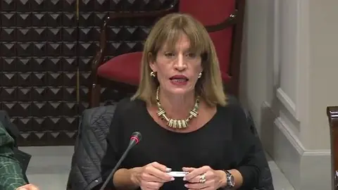 Esther Gonz&aacute;lez durante la comisi&oacute;n parlamentaria.