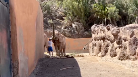 Im&aacute;genes del vandalismo cedidas por Oasis Wildlife.