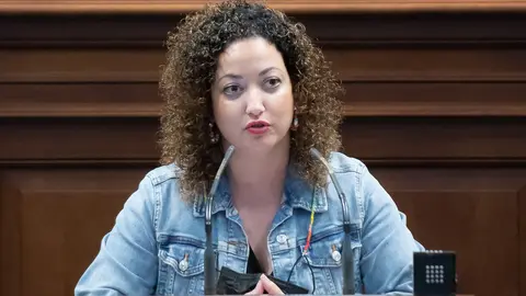 Jana Gonz&aacute;lez, diputada de CC en el Parlamento de Canarias.