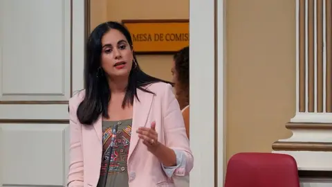 Vidina Espino, portavoz del Grupo Mixto en el Parlamento de Canarias.