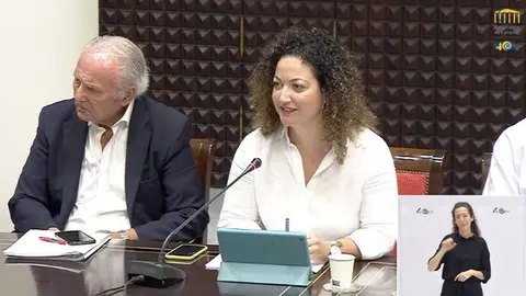 Nereida Calero, diputada del Grupo Nacionalista Canario por Fuerteventura.