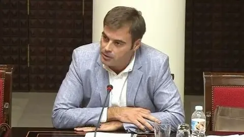 Fernando Ense&ntilde;at en una comisi&oacute;n parlamentaria.