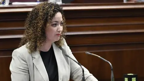 Jana Gonz&aacute;lez en el Parlamento de Canarias.