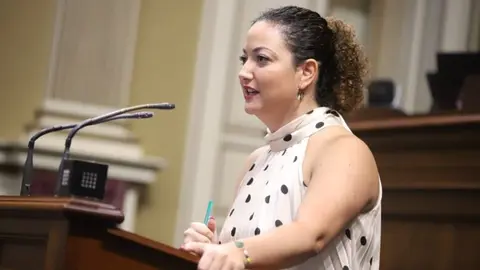 Jana Gonz&aacute;lez, diputada del Grupo Nacionalista Canario.