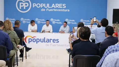 Manuel Dom&iacute;nguez, presidente del Partido Popular de Canarias.
