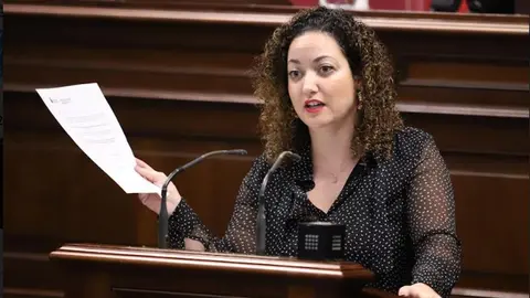 Jana Gonz&aacute;lez, diputada de CC por Fuerteventura.