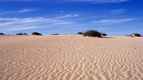 Parque Natural de las Dunas de Corralejo, en una imagen de la Reserva de la Biosfera.