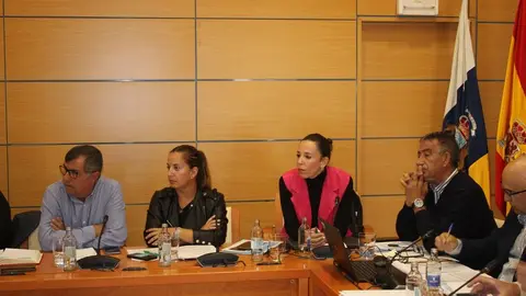 Representantes del Partido Popular en el Cabildo de Fuerteventura.