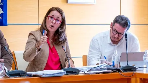 Lola Garc&iacute;a en el pleno del Cabildo de Fuerteventura.